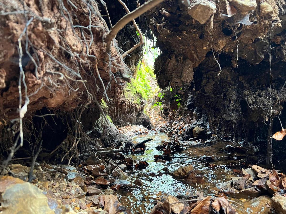 Отель Hartridge Springs Гонитон Экстерьер фото