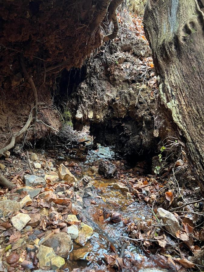 Отель Hartridge Springs Гонитон Экстерьер фото